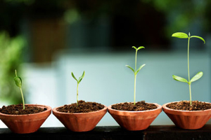 Interactive Marketing