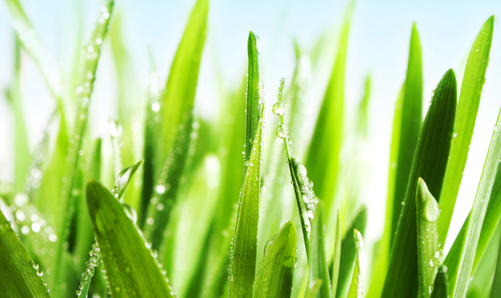 Interactive Advertising